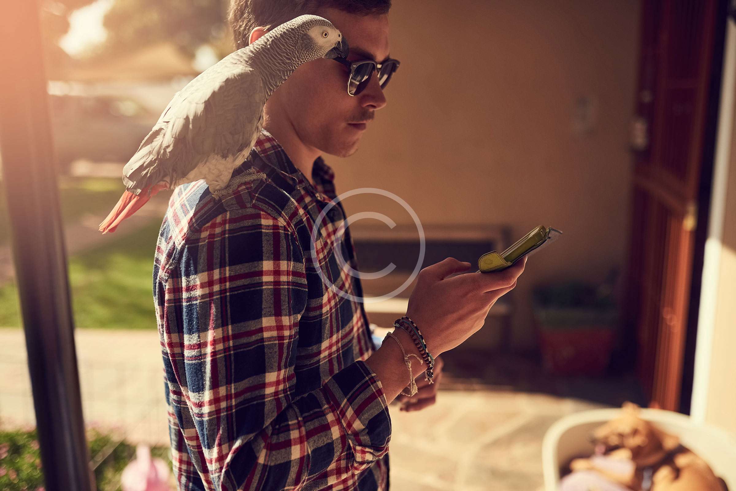 Taking Care of Your Bird’s Beak