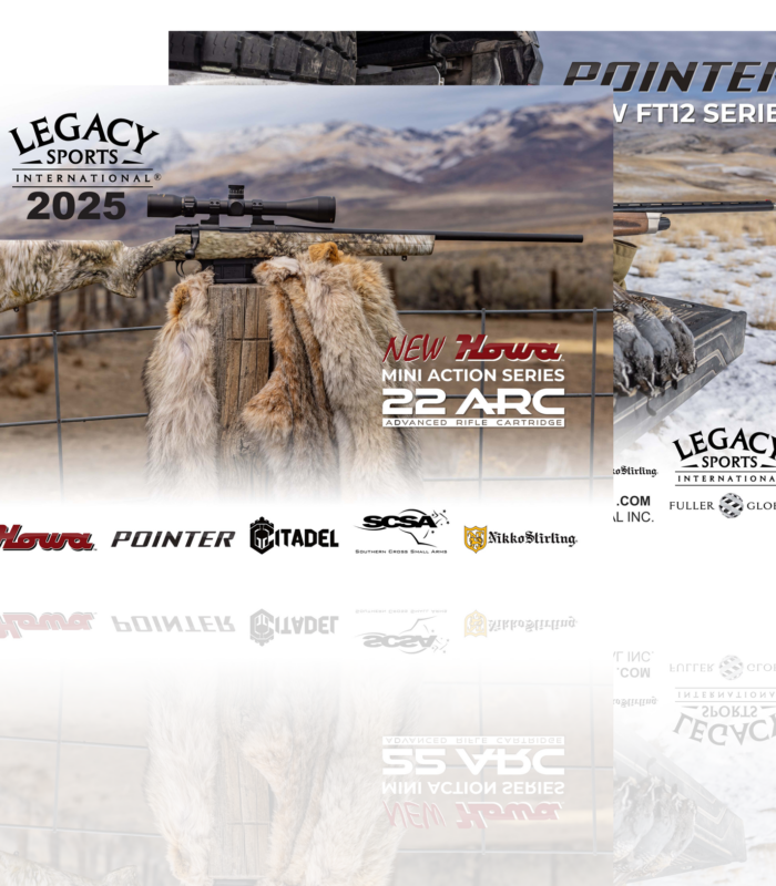 LSI Catalog